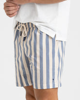 Printed Macro Stripes Swim Shorts |