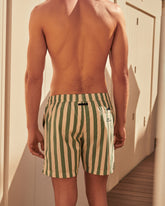 Printed Macro Stripes Swim Shorts |