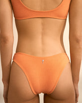 Light Sponge The Surfer |