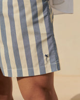 Printed Macro Stripes Swim Shorts - Classic Swim Shorts | 